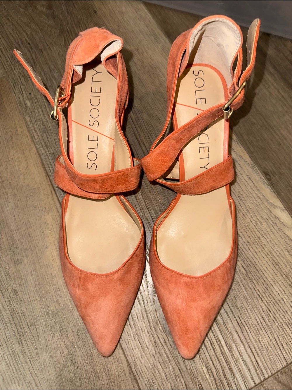 Sole Society Coral Suede Pointed Toe Ankle-Strap Heels